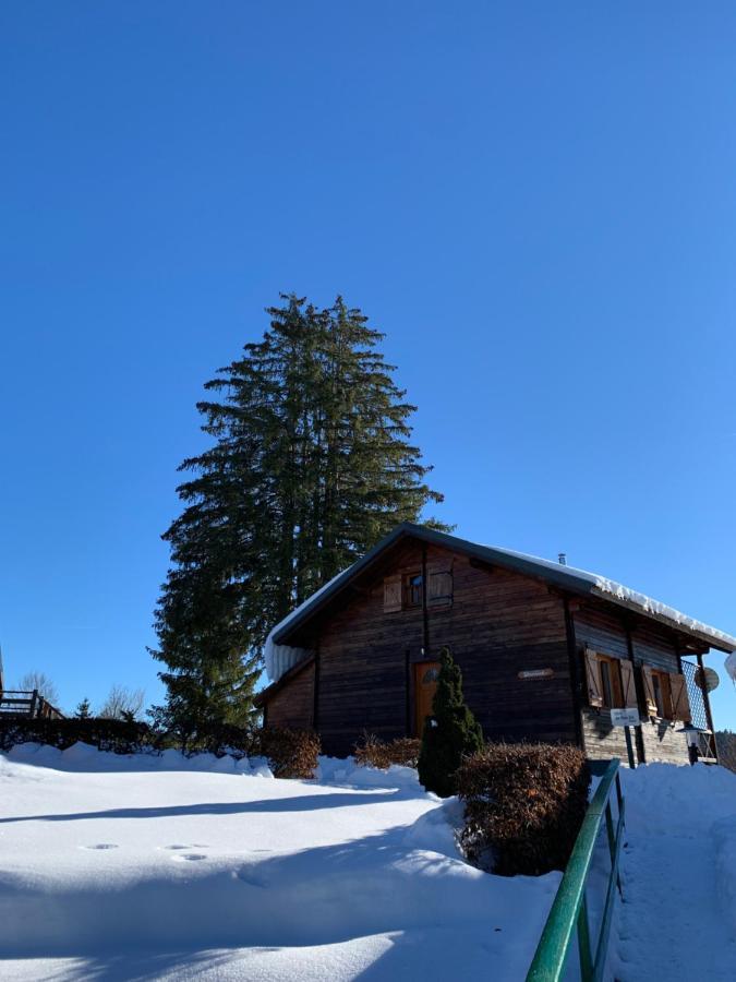 Chalet Du Bois Joli Saint-Laurent-en-Grandvaux Ngoại thất bức ảnh